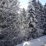 Lovley Sarajevo