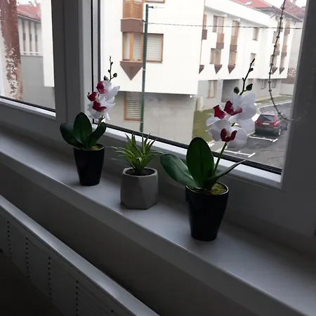 Lovely In Old Town 400m From Center Sebilj Apartment Sarajevo