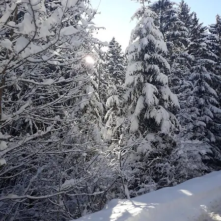 Lovely In Old Town 400m From Center Sebilj Sarajevo