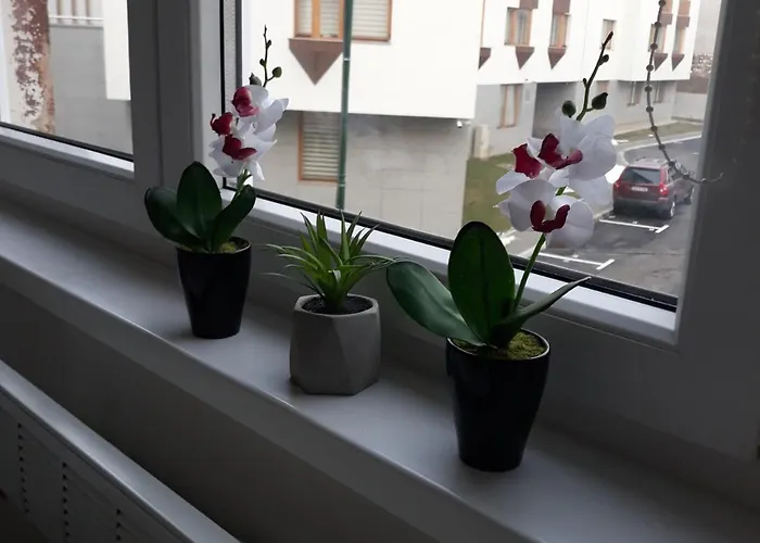 Lovley شقة سراييفو