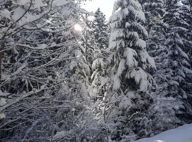 Lovley سراييفو